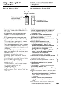 Страница 137