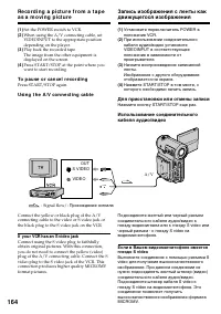 Страница 164