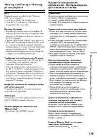 Страница 175