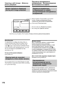 Страница 176