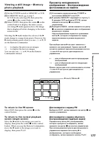 Страница 177