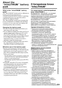 Страница 231