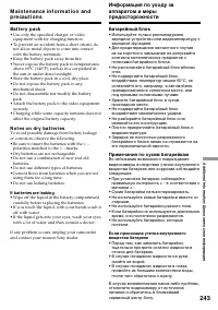Страница 243