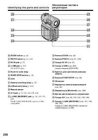Страница 250