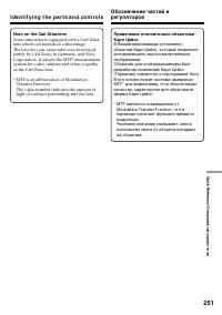Страница 251