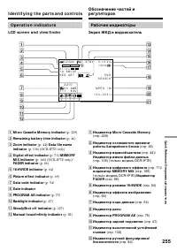 Страница 255