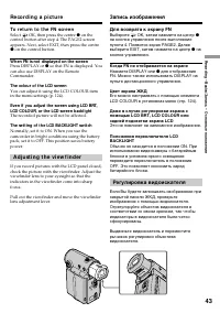 Страница 43