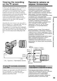 Страница 59