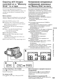 Страница 181