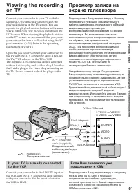 Страница 61