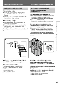 Страница 43