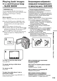 Страница 113