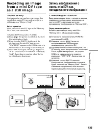 Страница 135
