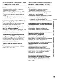 Страница 43