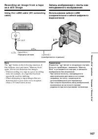 Страница 167