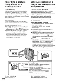 Страница 170