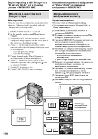 Страница 176