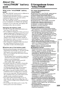 Страница 229
