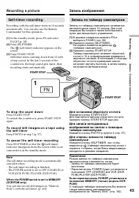 Страница 43