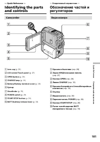 Страница 181