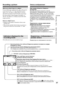 Страница 37