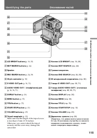Страница 115