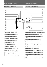 Страница 120