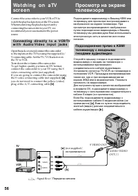 Страница 56