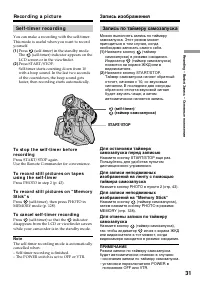 Страница 31