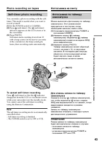 Страница 43