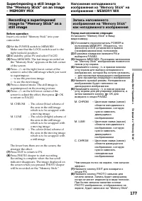 Страница 177