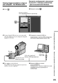Страница 231