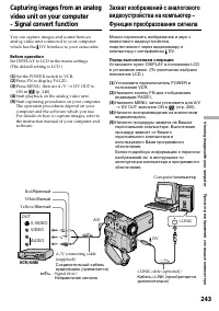 Страница 243