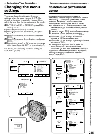 Страница 245