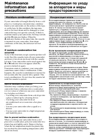 Страница 291