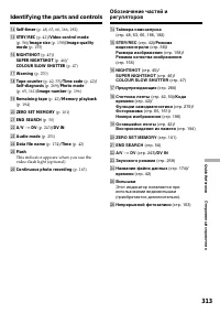 Страница 313