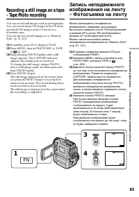 Страница 65