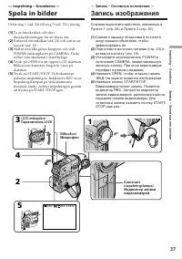 Страница 37