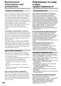 Страница 244
