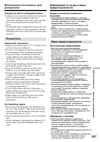 Страница 247