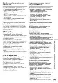 Страница 249