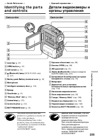 Страница 255
