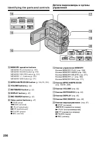 Страница 256