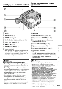 Страница 257
