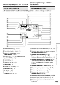 Страница 263