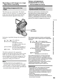 Страница 53