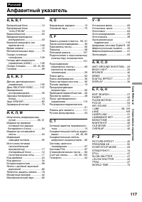 Страница 117