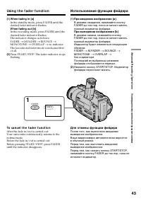 Страница 43