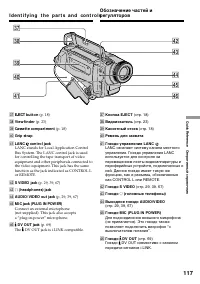Страница 117