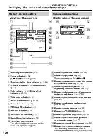 Страница 120